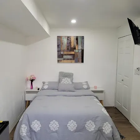 Cozy Studio Apt